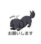 名前入りダックスロングブラックホワイト（個別スタンプ：7）