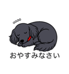 名前入りダックスロングブラックホワイト（個別スタンプ：9）