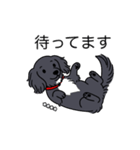 名前入りダックスロングブラックホワイト（個別スタンプ：10）