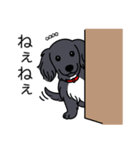 名前入りダックスロングブラックホワイト（個別スタンプ：12）