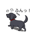 名前入りダックスロングブラックホワイト（個別スタンプ：14）