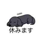 名前入りダックスロングブラックホワイト（個別スタンプ：16）
