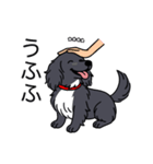 名前入りダックスロングブラックホワイト（個別スタンプ：19）