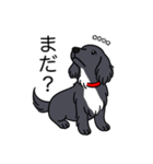 名前入りダックスロングブラックホワイト（個別スタンプ：20）