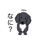 名前入りダックスロングブラックホワイト（個別スタンプ：22）
