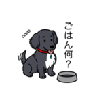 名前入りダックスロングブラックホワイト（個別スタンプ：24）
