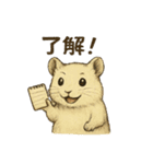 白くてかわいいハムスターのスタンプ（個別スタンプ：1）