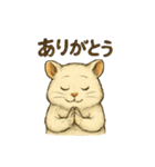 白くてかわいいハムスターのスタンプ（個別スタンプ：13）