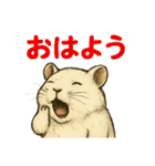 白くてかわいいハムスターのスタンプ（個別スタンプ：26）