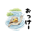 OK、了解、承知などいろんな肯定バージョン（個別スタンプ：10）