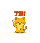 猫ちゃん 家族連絡用（個別スタンプ：13）