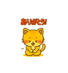 猫ちゃん 家族連絡用（個別スタンプ：14）