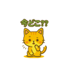 猫ちゃん 家族連絡用（個別スタンプ：15）