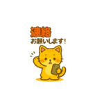 猫ちゃん 家族連絡用（個別スタンプ：16）
