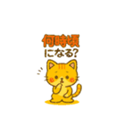 猫ちゃん 家族連絡用（個別スタンプ：17）