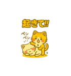 猫ちゃん 家族連絡用（個別スタンプ：29）