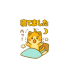 猫ちゃん 家族連絡用（個別スタンプ：30）