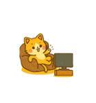 猫ちゃん 家族連絡用（個別スタンプ：37）