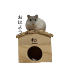 パールホワイトのあんずちゃん（個別スタンプ：2）