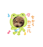 COCOAの日常アニメーションスタンプ（個別スタンプ：15）