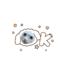 うちのnekkoたち（個別スタンプ：8）