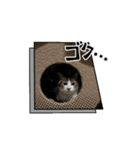 セブンにゃ（個別スタンプ：7）