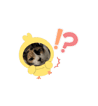 セブンにゃ（個別スタンプ：8）
