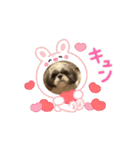 まぁくんの弟だよ（個別スタンプ：2）