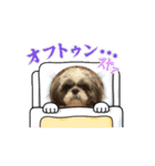まぁくんの弟だよ（個別スタンプ：3）