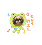 まぁくんの弟だよ（個別スタンプ：4）