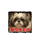 まぁくんの弟だよ（個別スタンプ：6）