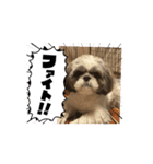 まぁくんの弟だよ（個別スタンプ：7）