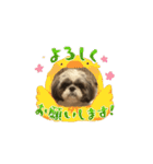 まぁくんの弟だよ（個別スタンプ：10）