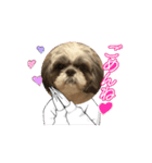 まぁくんの弟だよ（個別スタンプ：12）