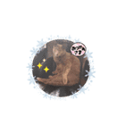 ロシアンブルー、猫のスタンプ（個別スタンプ：5）
