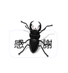 スマホの上のコクワガタ1（個別スタンプ：11）