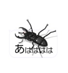 スマホの上のコクワガタ1（個別スタンプ：12）