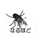スマホの上のコクワガタ1（個別スタンプ：13）