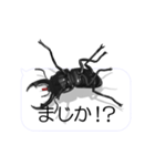 スマホの上のコクワガタ1（個別スタンプ：18）
