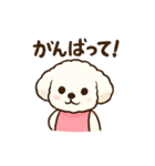 ちゃちゃまる。のスタンプ（個別スタンプ：6）