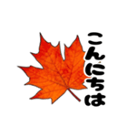 動く紅葉と秋の挨拶言葉（個別スタンプ：3）