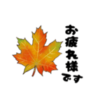 動く紅葉と秋の挨拶言葉（個別スタンプ：4）