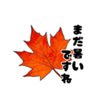 動く紅葉と秋の挨拶言葉（個別スタンプ：7）