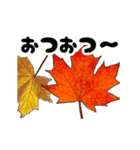 動く紅葉と秋の挨拶言葉（個別スタンプ：8）