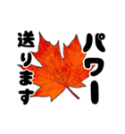 動く紅葉と秋の挨拶言葉（個別スタンプ：14）
