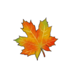 動く紅葉と秋の挨拶言葉（個別スタンプ：17）