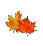 動く紅葉と秋の挨拶言葉（個別スタンプ：19）