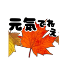 動く紅葉と秋の挨拶言葉（個別スタンプ：22）