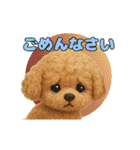 ふわふわトイプードルのアニメスタンプ（個別スタンプ：4）