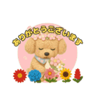 ふわふわトイプードルのアニメスタンプ（個別スタンプ：7）